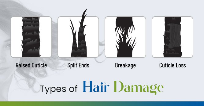 Types of Hair Damage